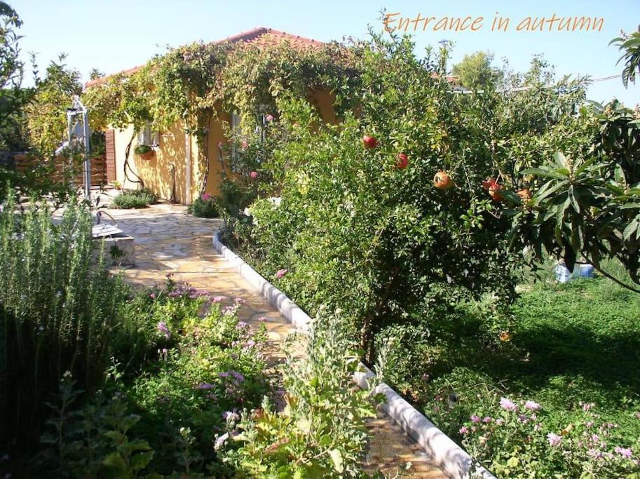Adonino Residence-The House Of Pomegranates Lakíthra Kültér fotó